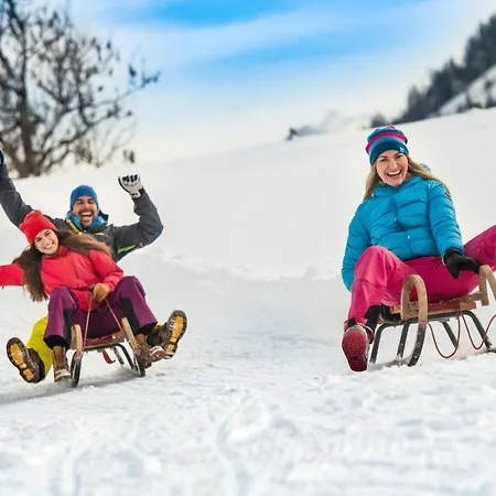 Bergquelle 3* Flachau