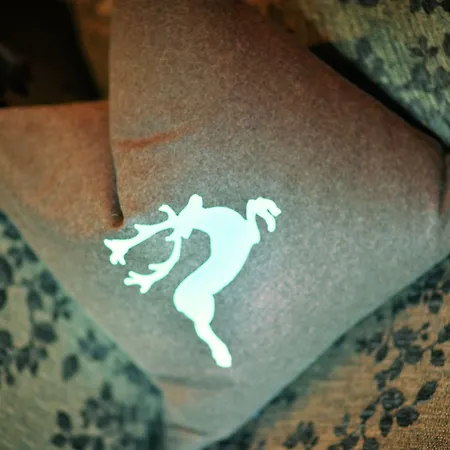 호텔 Bergquelle 플라차우