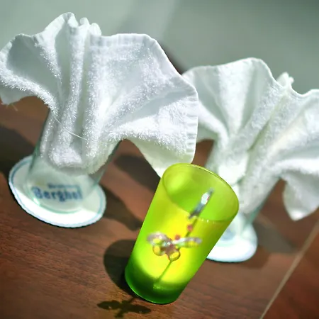 Bergquelle 3* 플라차우