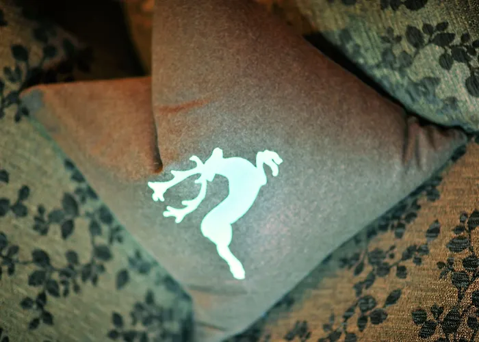 فندق Bergquelle فلاخاو