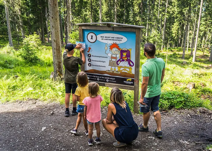 Bergquelle 3* Flachau